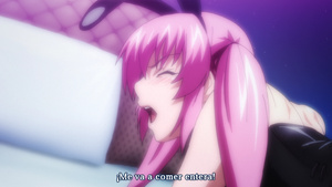 Hagure Yuusha no Estetica